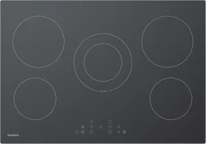 30 Inch Electric Cooktop 5 Burners,3000 Watt Dual-Ring Burner for Quick Boil,Shatterproof Glass, Keep Warm Setting, 9 Heating Level,9000W, Drop-in Electric Stove Top,Gray