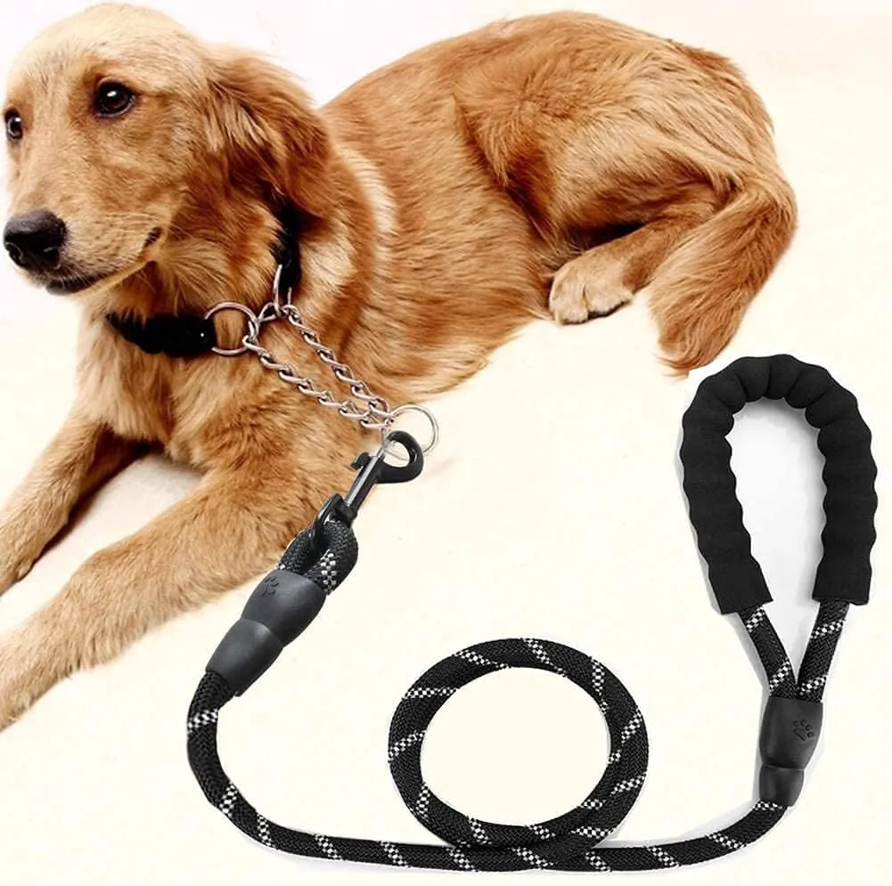 5FT Strong Nylon Dog Leash with Comfortable Padded Handle and Highly Reflective Threads for Medium and Large Dogs