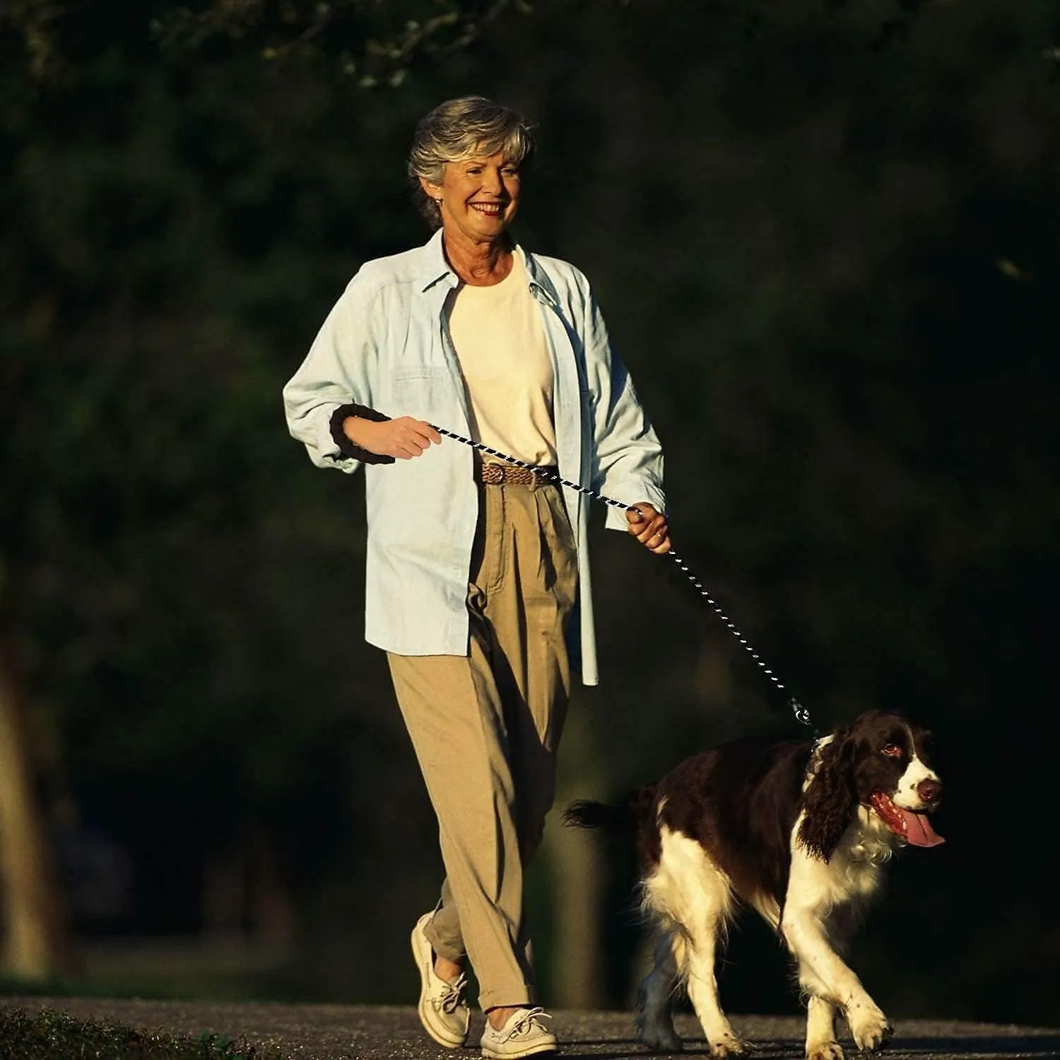 5FT Strong Nylon Dog Leash with Comfortable Padded Handle and Highly Reflective Threads for Medium and Large Dogs