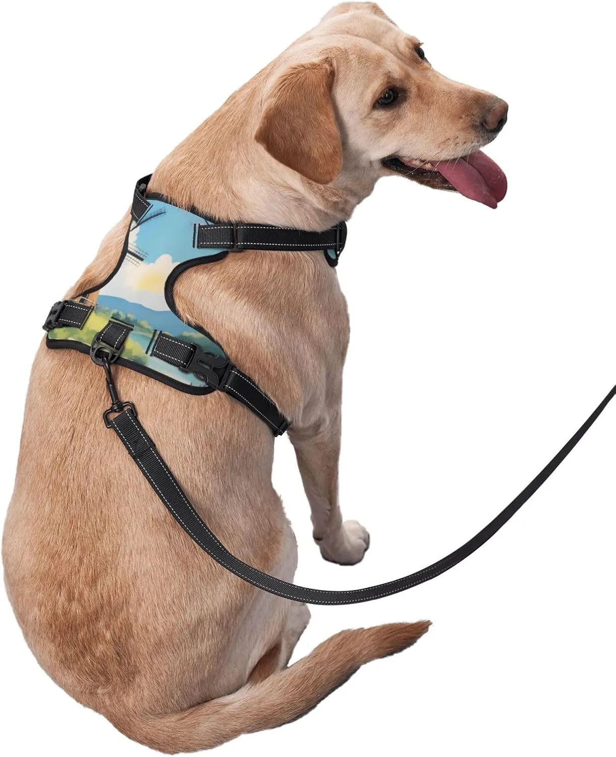 Beautiful River Windmill X-Large Printed pet Traction Vest for Pets to wear When Walking The Dog or Climbing Mountains