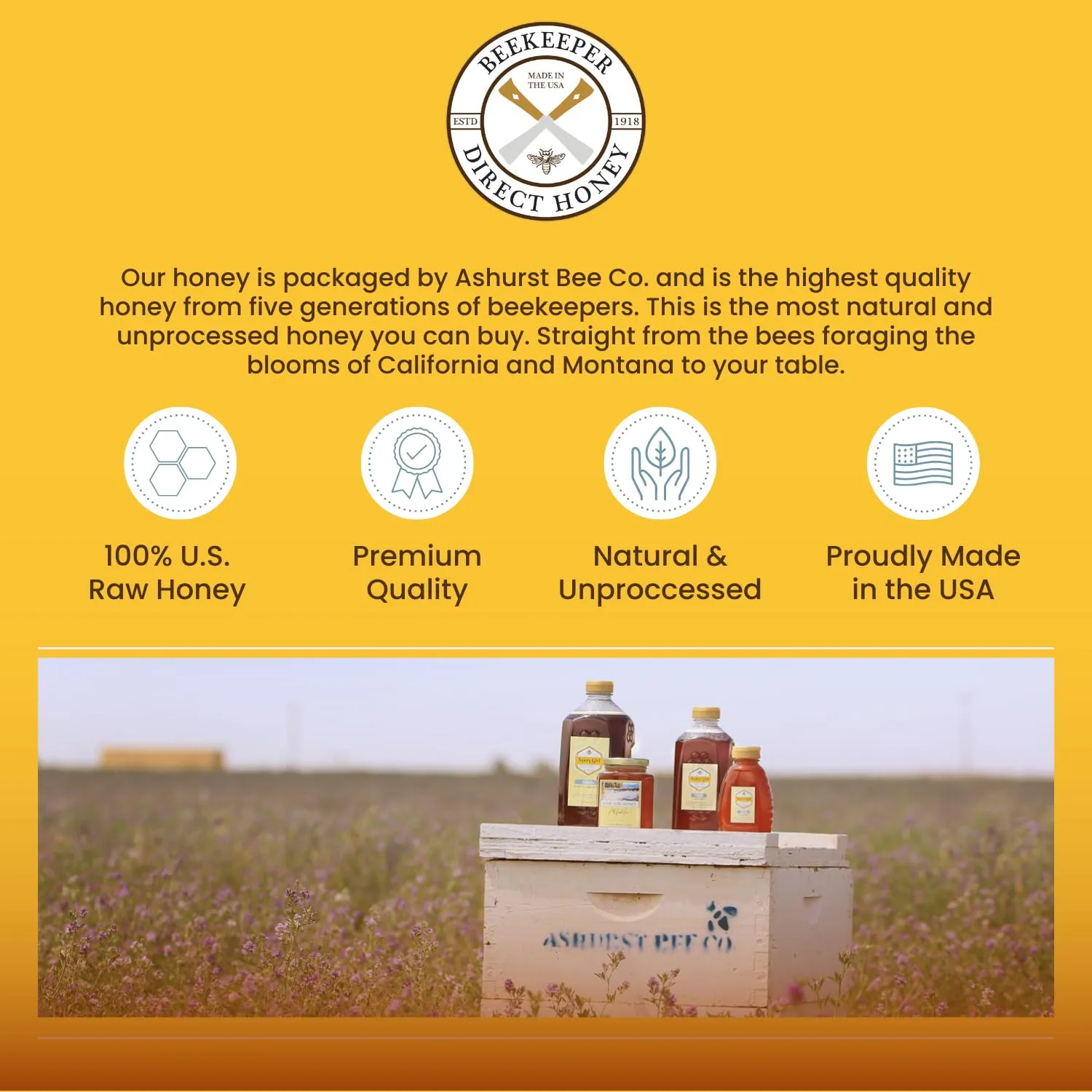 Beekeeper Direct Raw Unfiltered Honey - Real Raw Citrus Honey - All Natural Non-GMO Pure Gourmet Honey - Local California Orange, Grapefruit, and Lemon Honey (1lbs Squeeze Bottle)