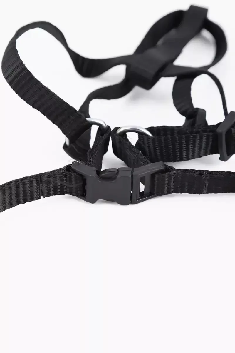 Canine Nylon Solid Collar for Dogs (1.5cm)