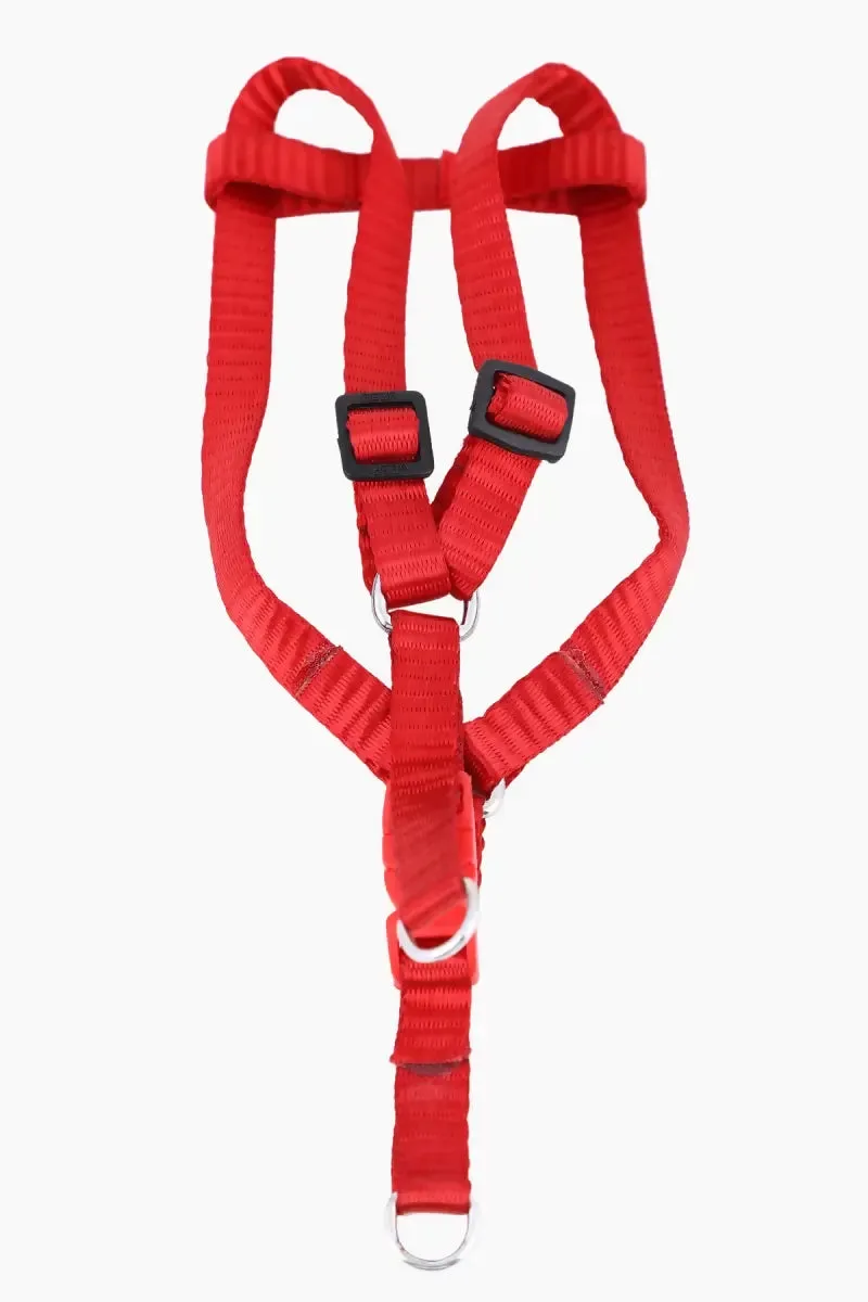 Canine Nylon Solid Collar for Dogs (1.5cm)