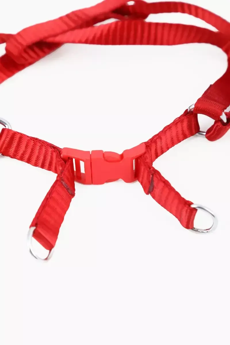 Canine Nylon Solid Collar for Dogs (1.5cm)