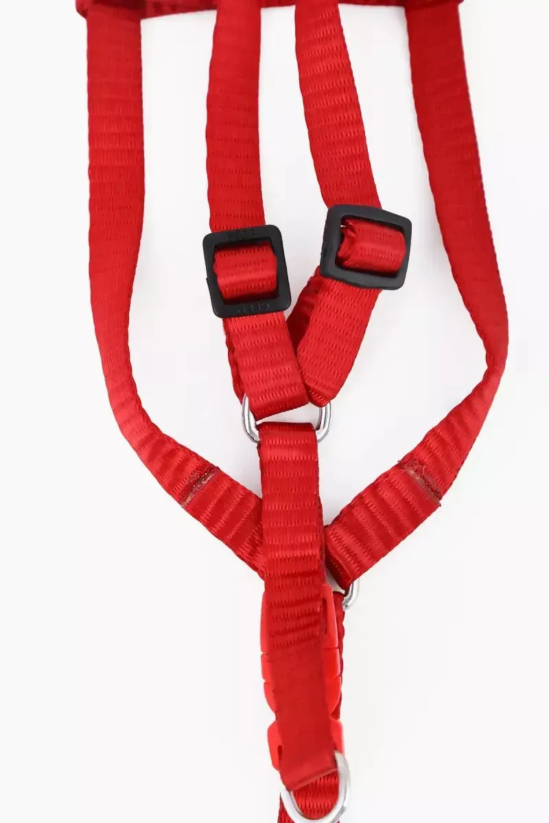 Canine Nylon Solid Collar for Dogs (1.5cm)