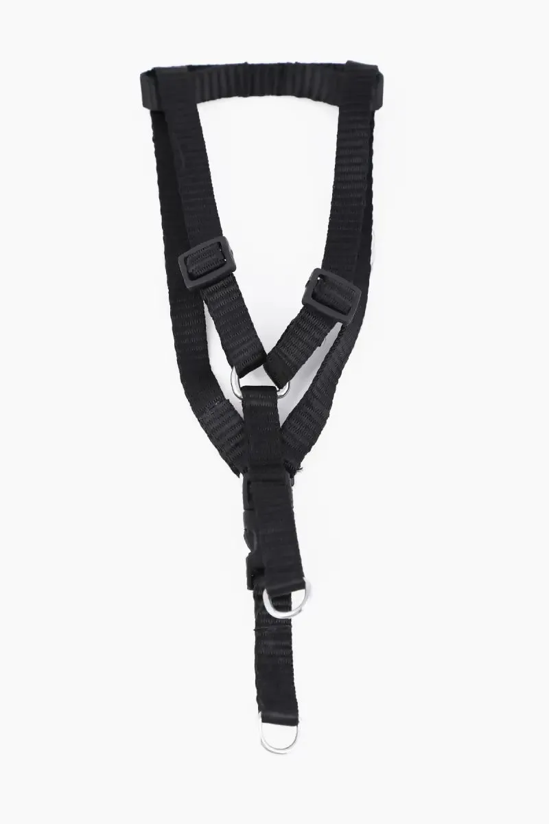 Canine Nylon Solid Collar for Dogs (1.5cm)