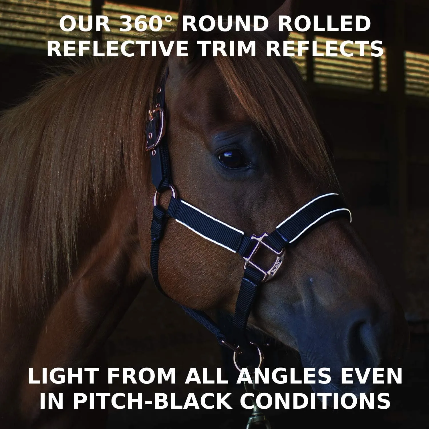 Derby Originals Blackout Collection Safety Reflective Breakaway Halter with Matching Poly Lead Rope