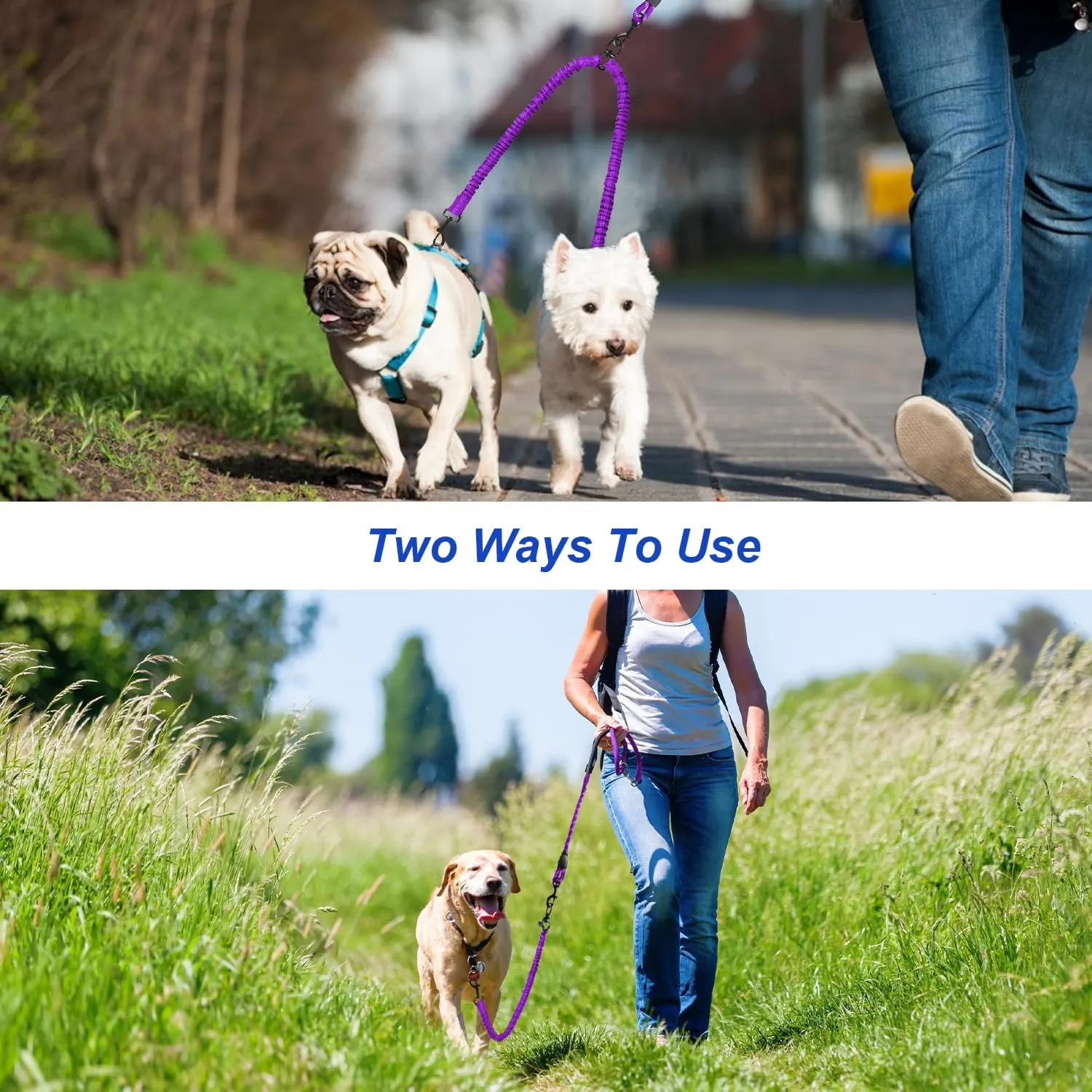 Double Dog Leash, Dual Dog Leash, 360 Swivel Tangle Free Bungee Walking Training for Large Medium Dogs, Shock Absorbing Bungee Reflective for Two Dogs, 18~120 lbs, Purple