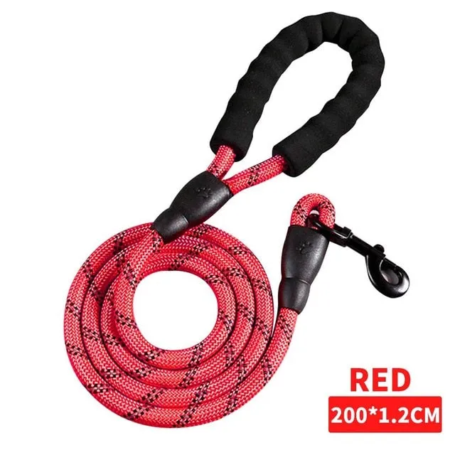 Durable Reflective Dog Leash 4 Lengths