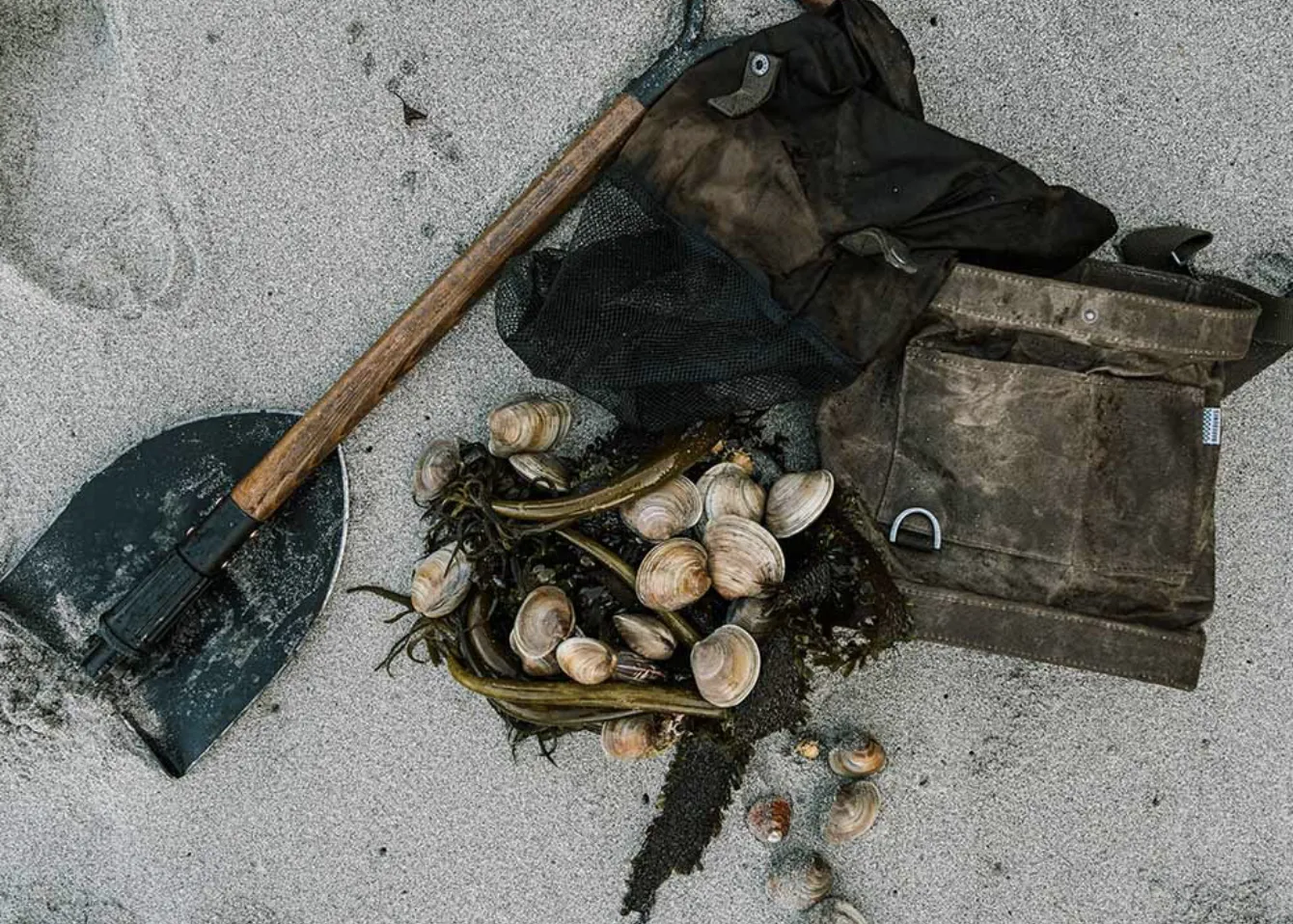 Folding Shovel with Sheath