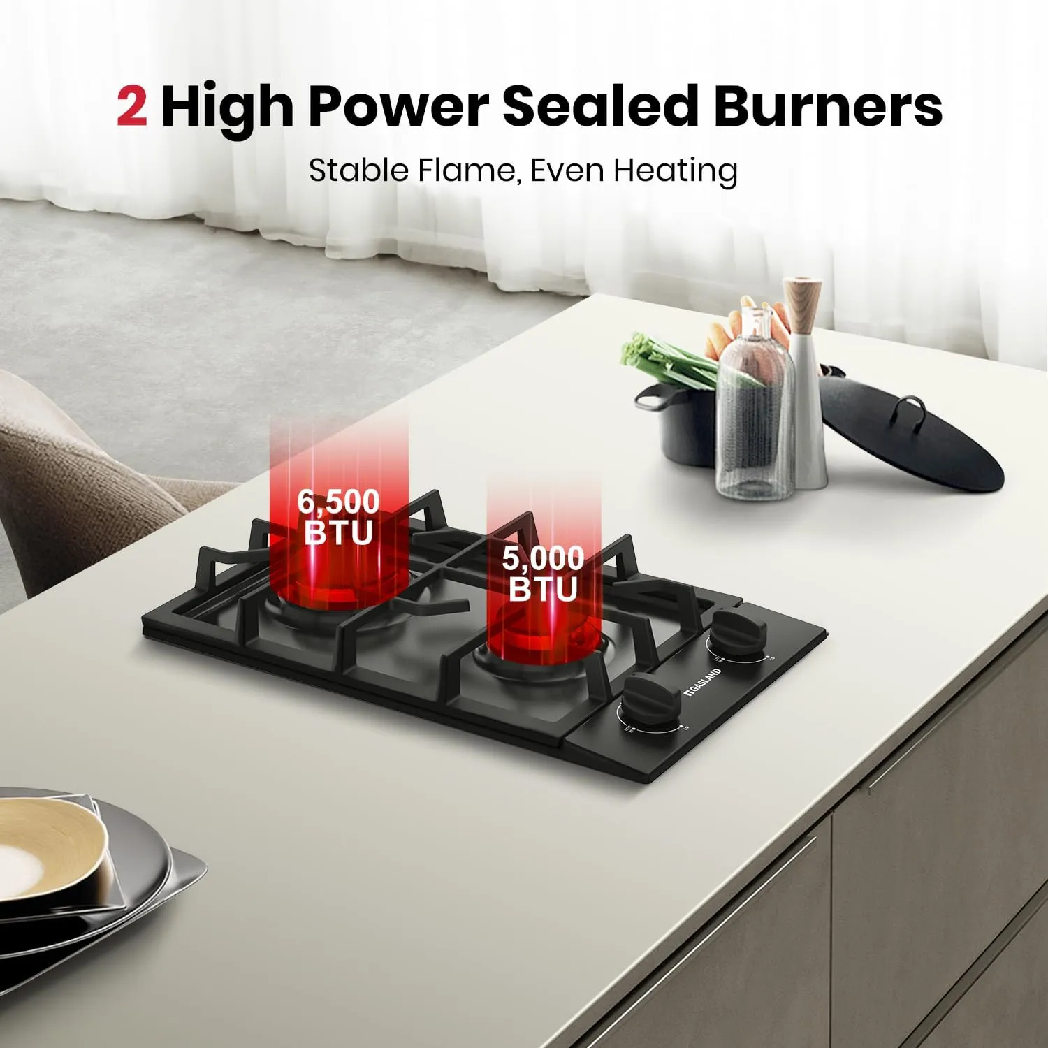 GASLAND 2 Burners Gas Cooktop 12 Inch GH30EF Drop-in Propane Stove Top with Thermocouple Protection, LPG/NG Convertible Dual Fuel Natural Gas Hob, Black