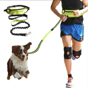 Handsfree Leash