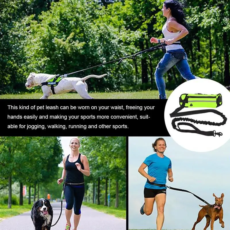 Handsfree Leash
