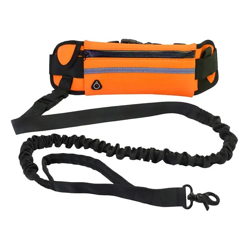 Handsfree Leash
