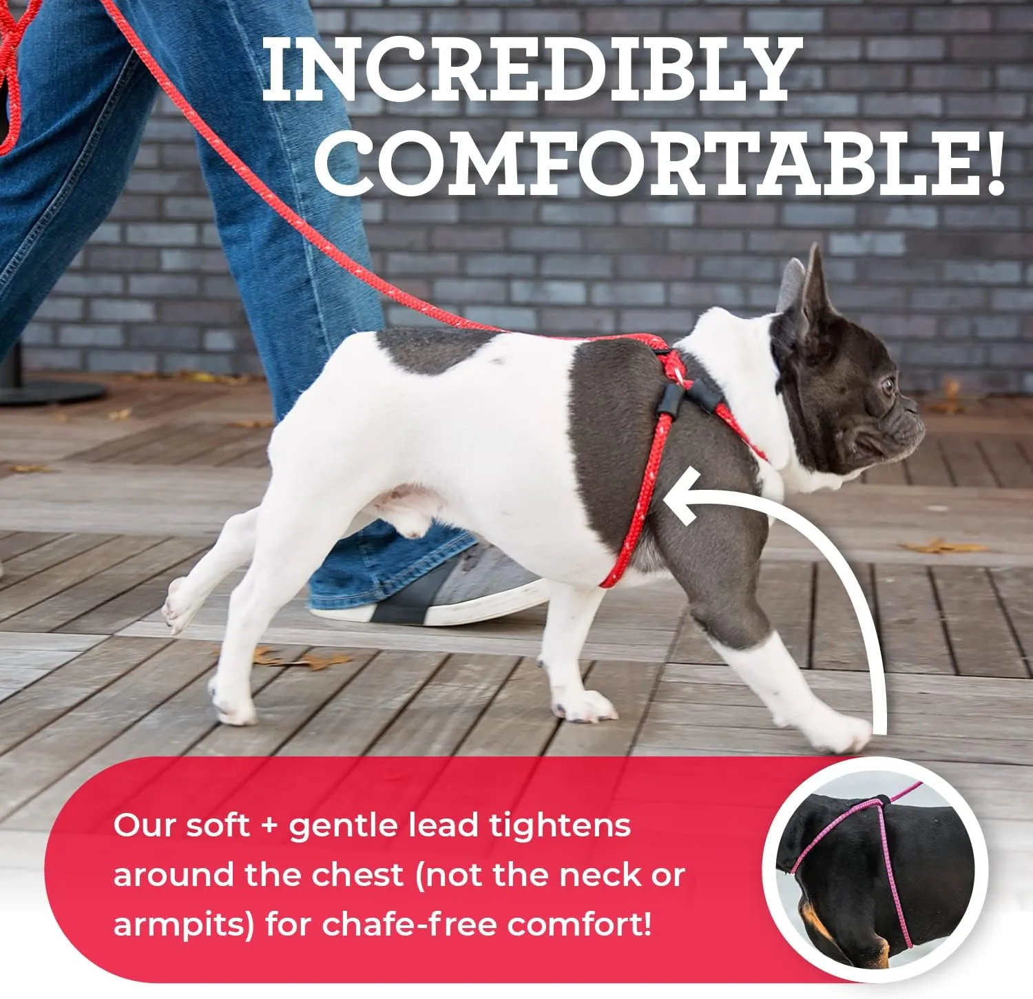 Harness Lead No Pull Dog Harness and Leash Set, Anti Pull Dog Harness for All Breeds and Sizes, One-Piece Cushioned Rope Design Safely Prevents Escaping and Pulling (Medium/Large, Black/Reflective)