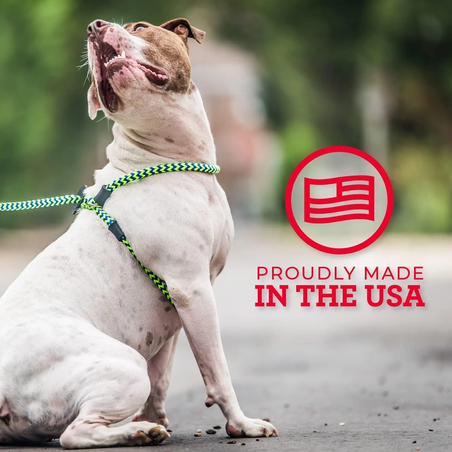 Harness Lead No Pull Dog Harness and Leash Set, Anti Pull Dog Harness for All Breeds and Sizes, One-Piece Cushioned Rope Design Safely Prevents Escaping and Pulling (Medium/Large, Black/Reflective)