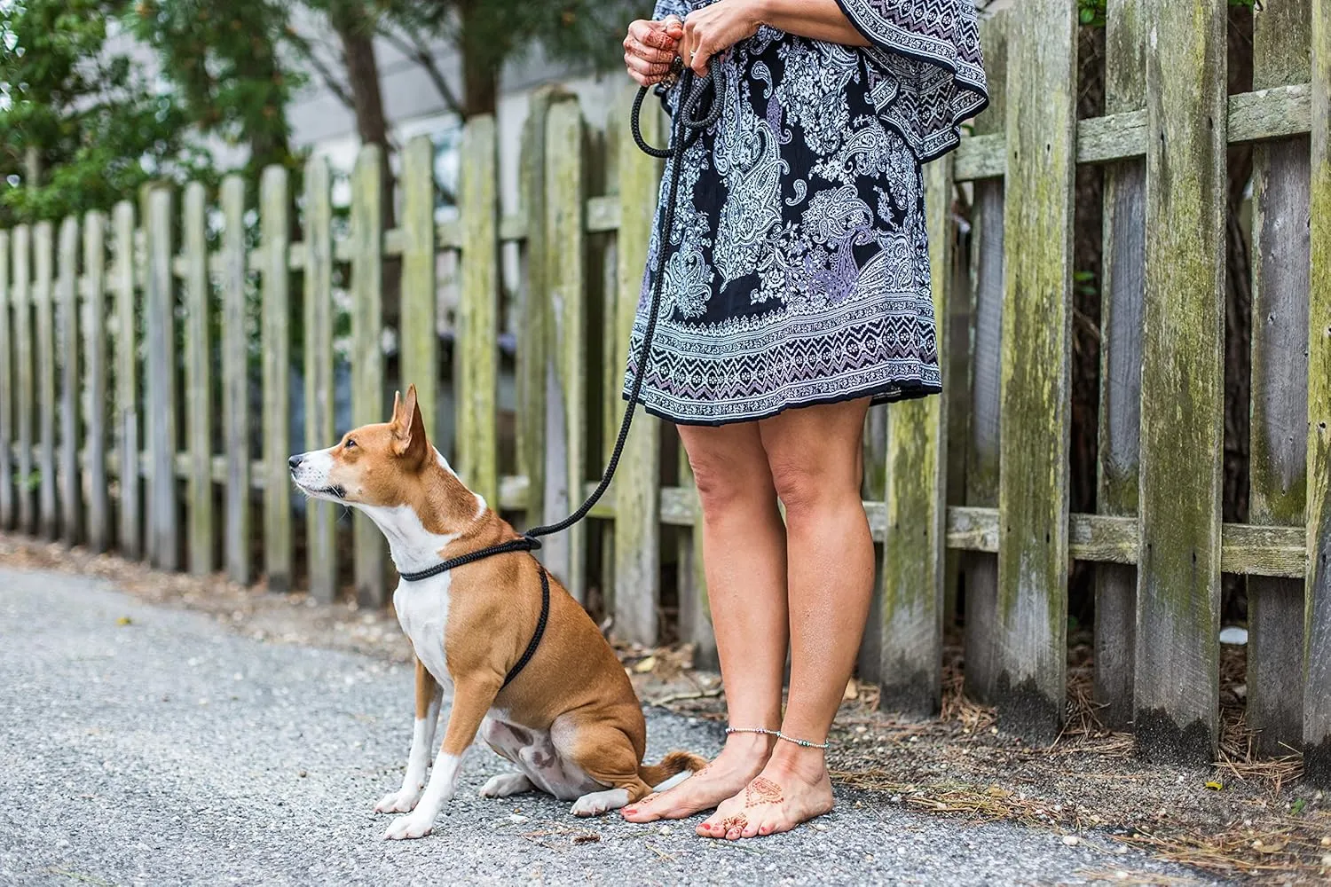 Harness Lead No Pull Dog Harness and Leash Set, Anti Pull Dog Harness for All Breeds and Sizes, One-Piece Cushioned Rope Design Safely Prevents Escaping and Pulling (Small/Medium, Black/Reflective)