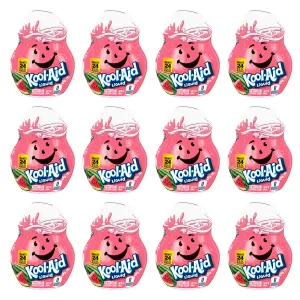 Kool Aid Flavor Variation (1.62 Fl Oz (Pack of 12), Watermelon)