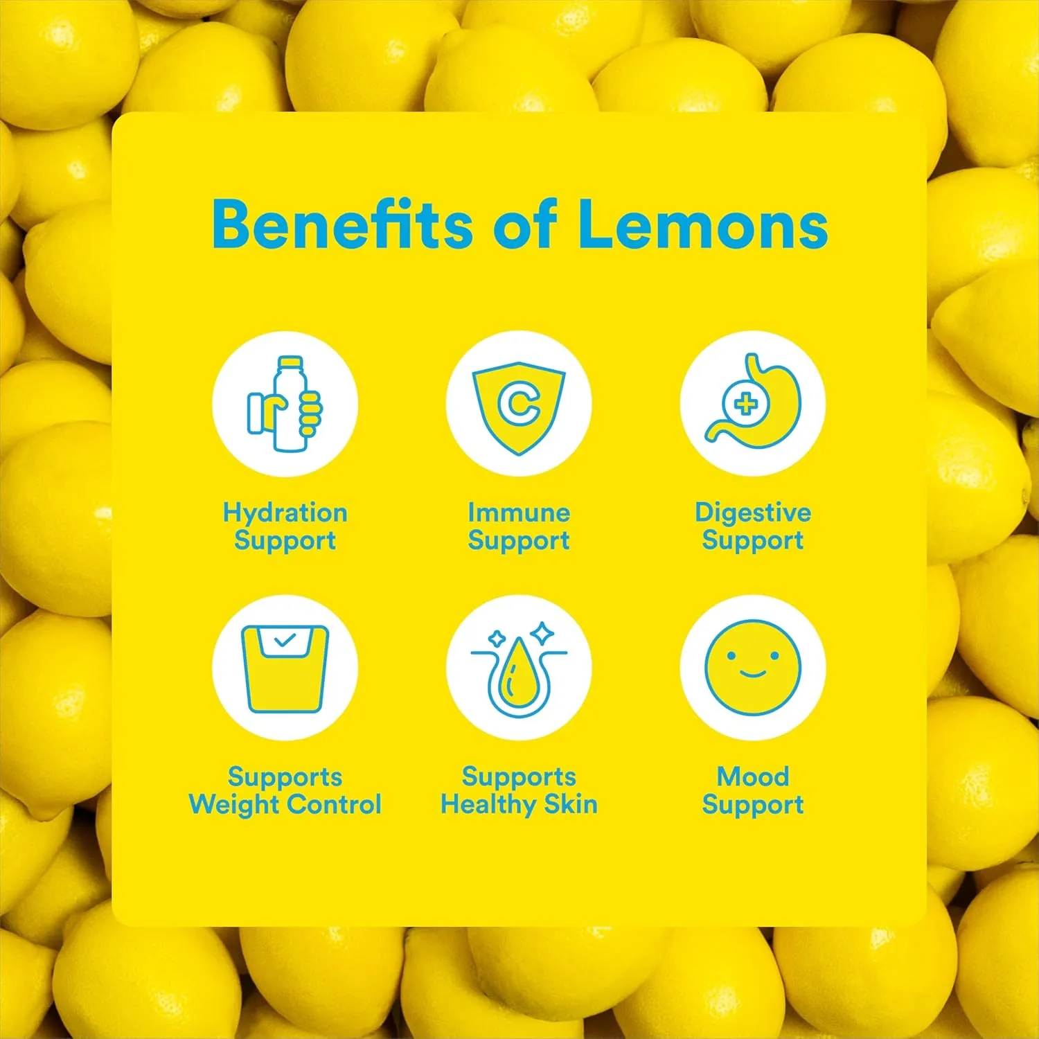 Lemon Perfect Blueberry, Hydrating Flavored Lemon Water, Zero Sugar, Healthy Hydration Drinks, Organic, 15.2oz Bottles (12-Pack)