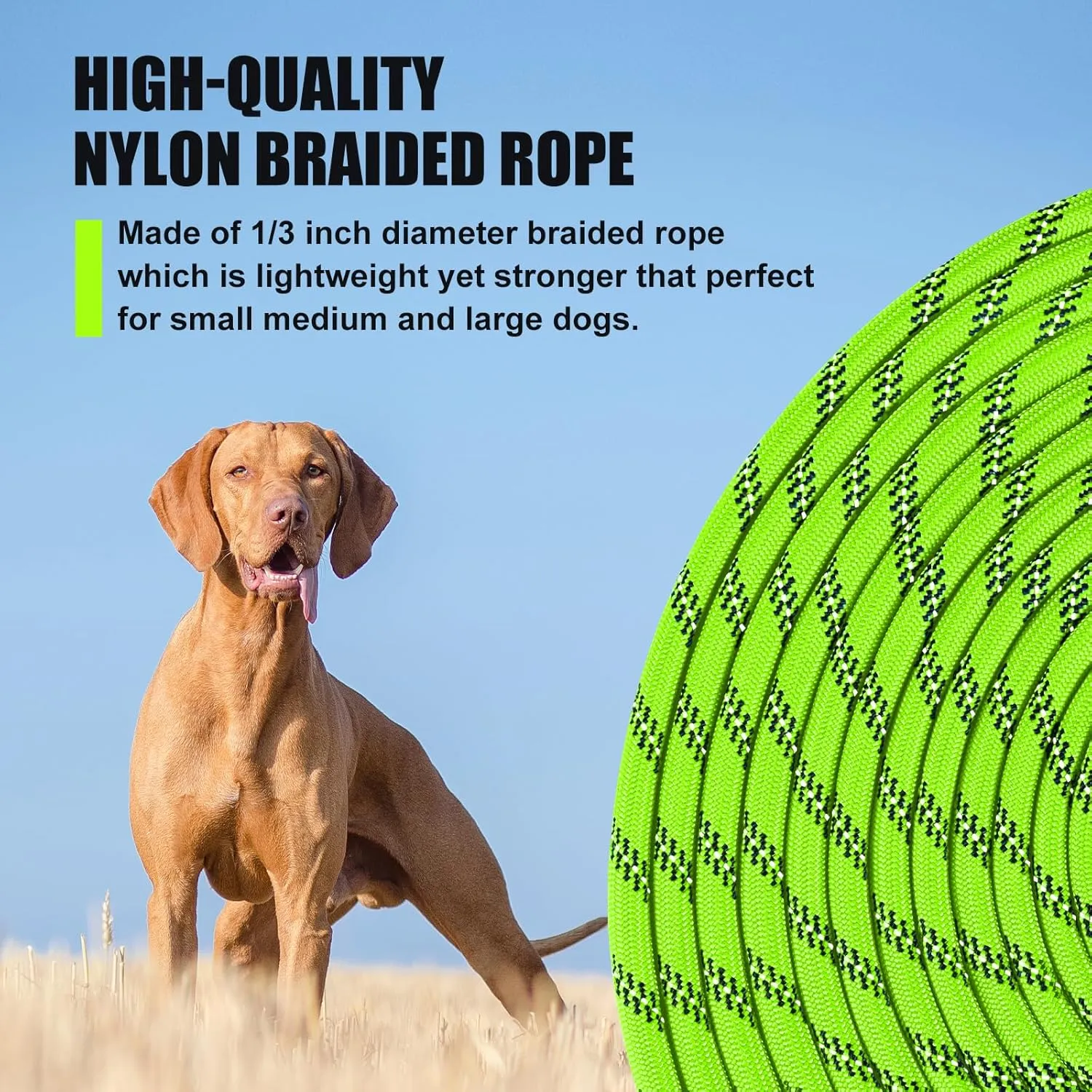lynxking Long Dog Leash Reflective 15ft 30ft 50ft Check Cord Training Lead Padded Handle Heavy Duty Rope for Puppy Small Medium Large Dogs (Light Green, 30ft x 3/8inch)