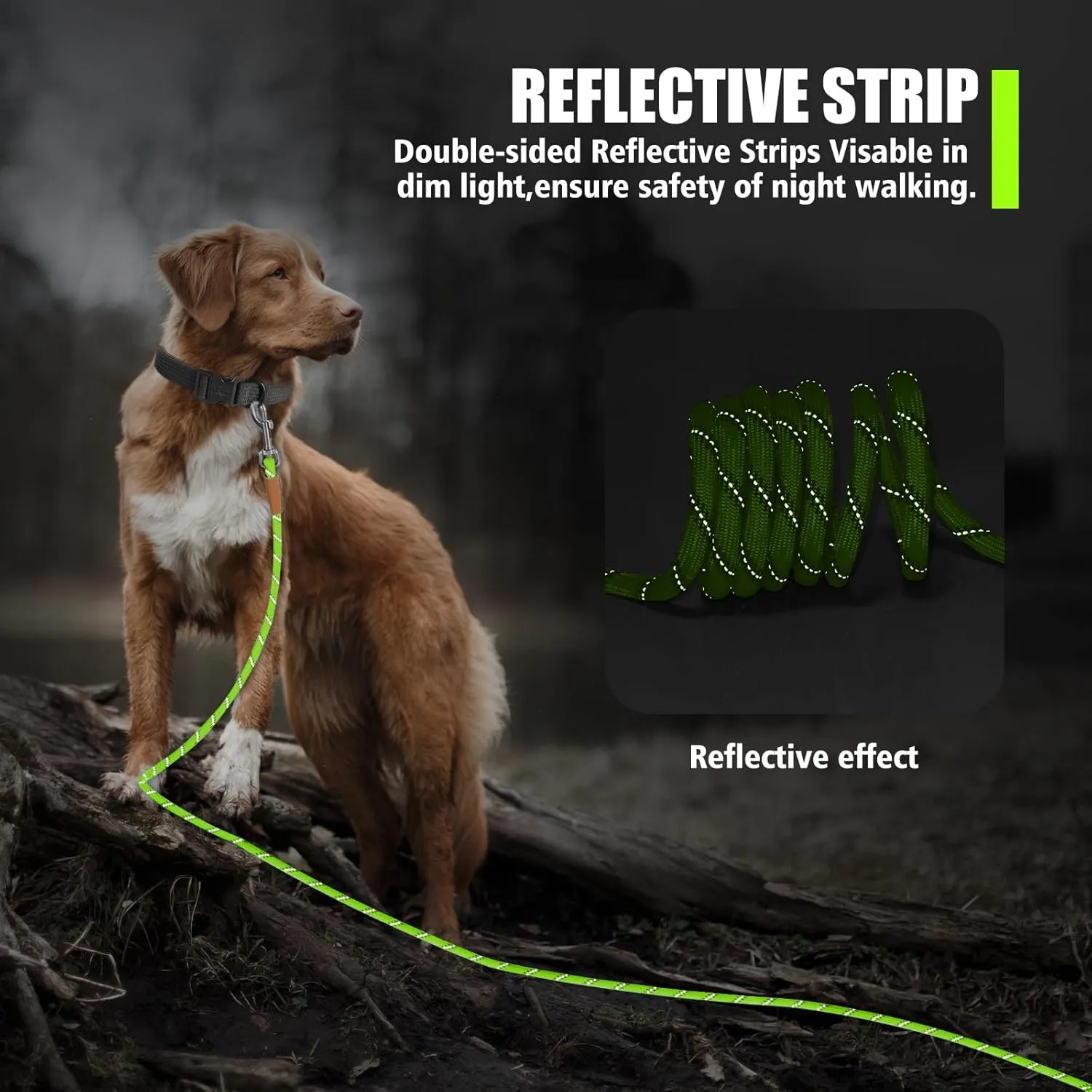 lynxking Long Dog Leash Reflective 15ft 30ft 50ft Check Cord Training Lead Padded Handle Heavy Duty Rope for Puppy Small Medium Large Dogs (Light Green, 30ft x 3/8inch)
