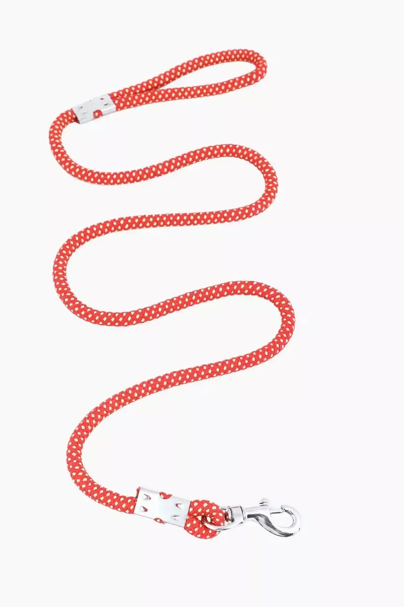 Nylon Rope Leash For Dog (Small)