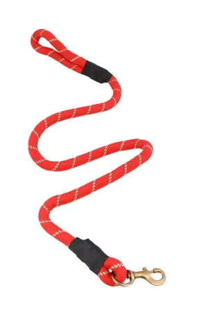 Nylon Rope Leash With Buckle Closure For Dogs (Large, RED)