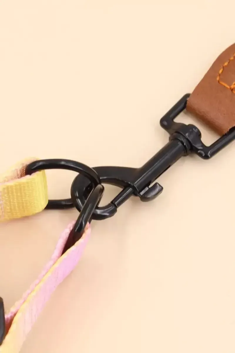 Nylon Solid Leash Rope for Dogs (2.5 Cm)