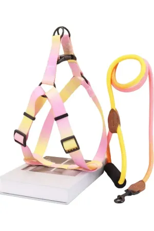 Nylon Solid Leash Rope for Dogs (2.5 Cm)