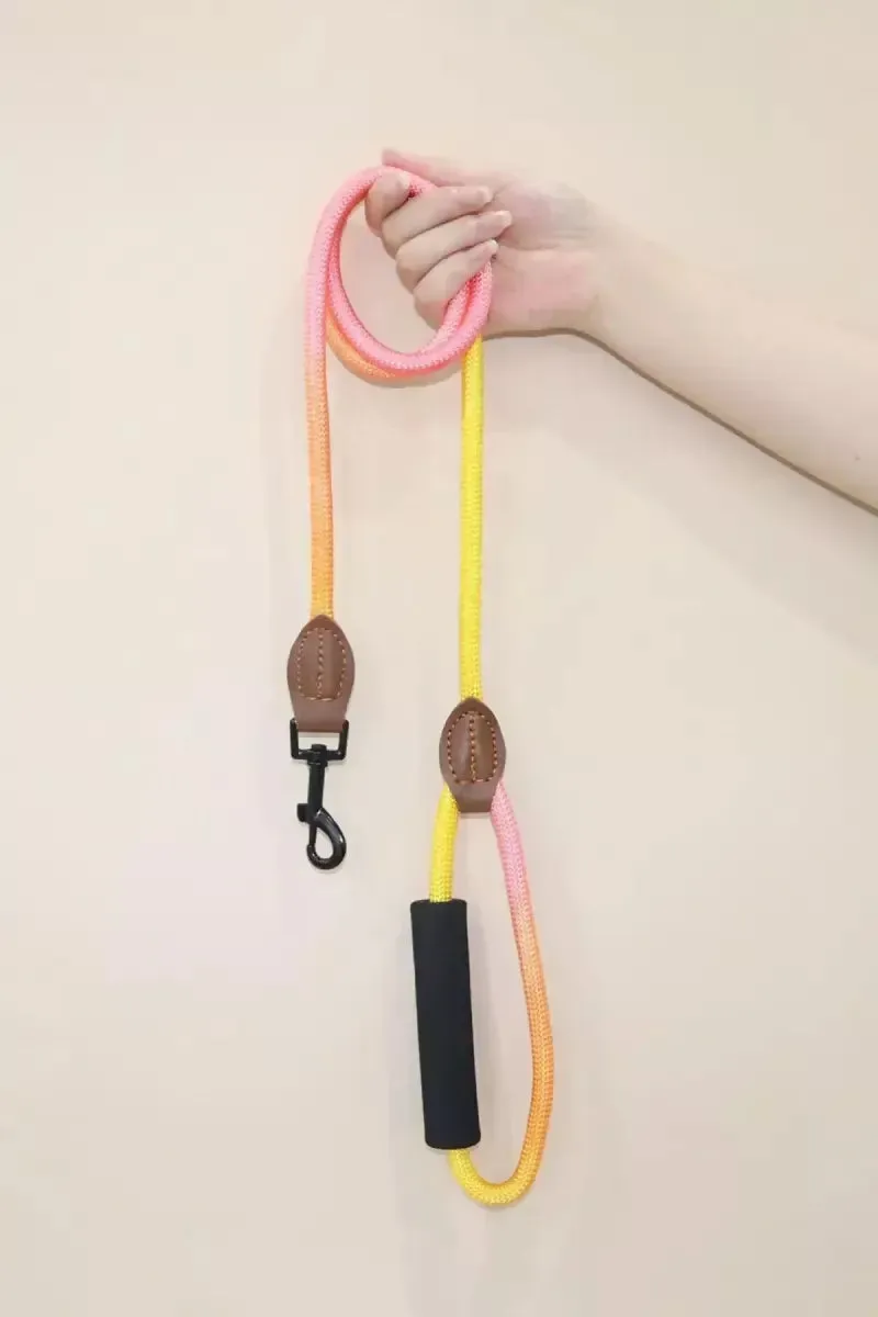 Nylon Solid Leash Rope for Dogs (2.5 Cm)