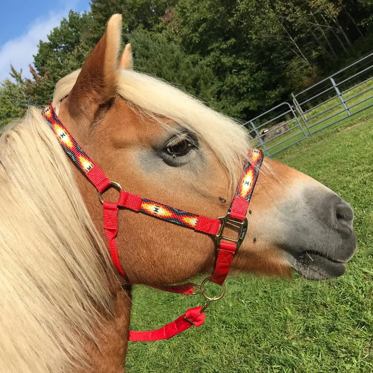 Patterned Nylon Adjustable Horse Halters with Padded Noseband and Matching 10’ Soft Grip Lead Rope with one Year Warranty