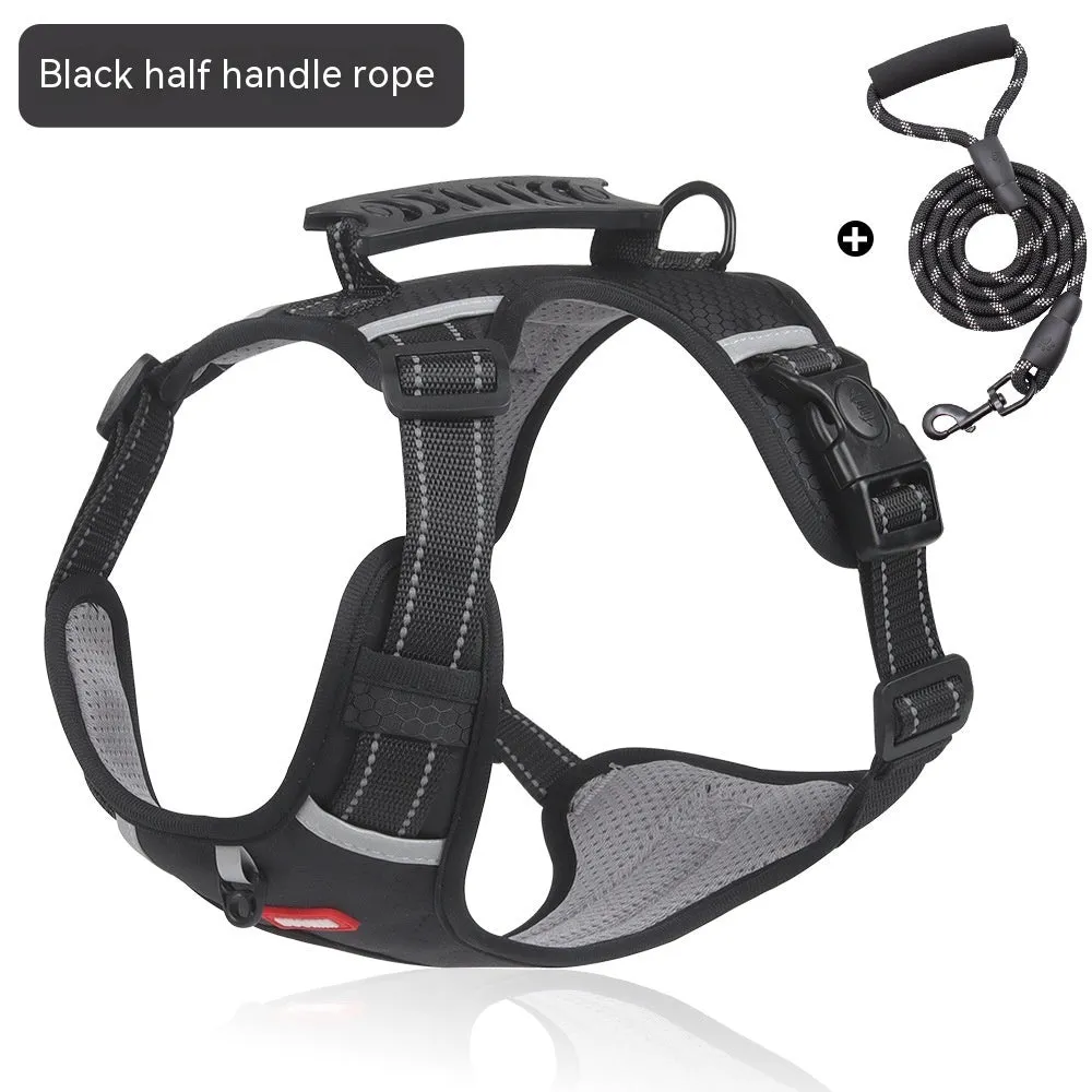 Pet Hand Holding Rope