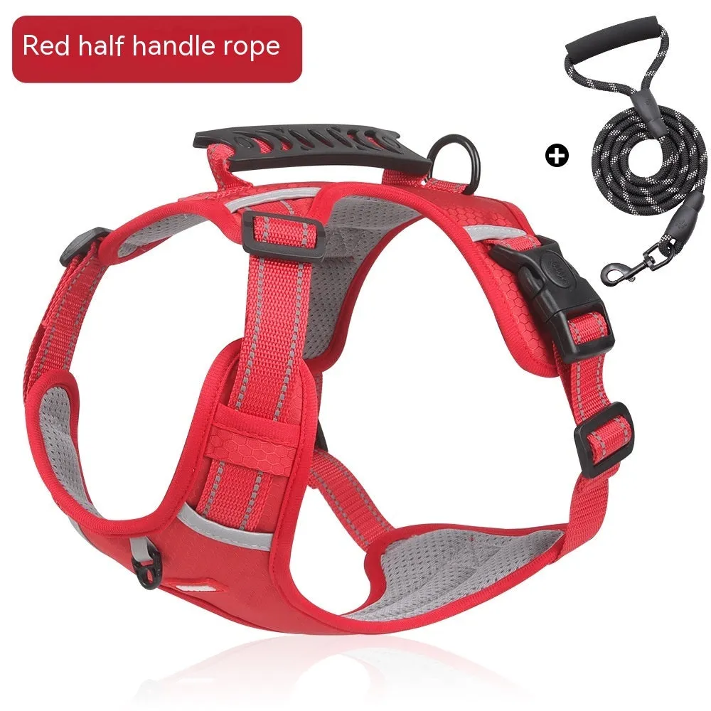 Pet Hand Holding Rope