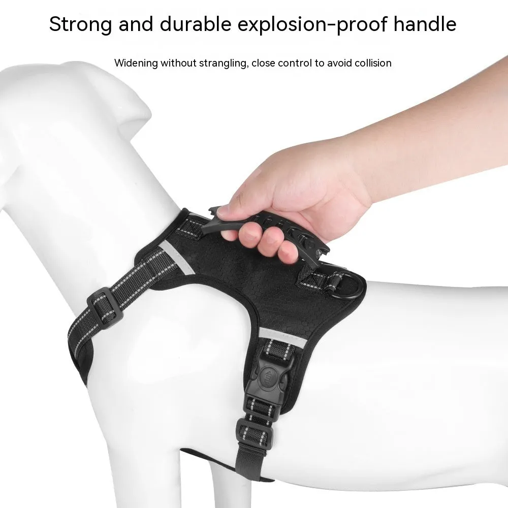 Pet Hand Holding Rope