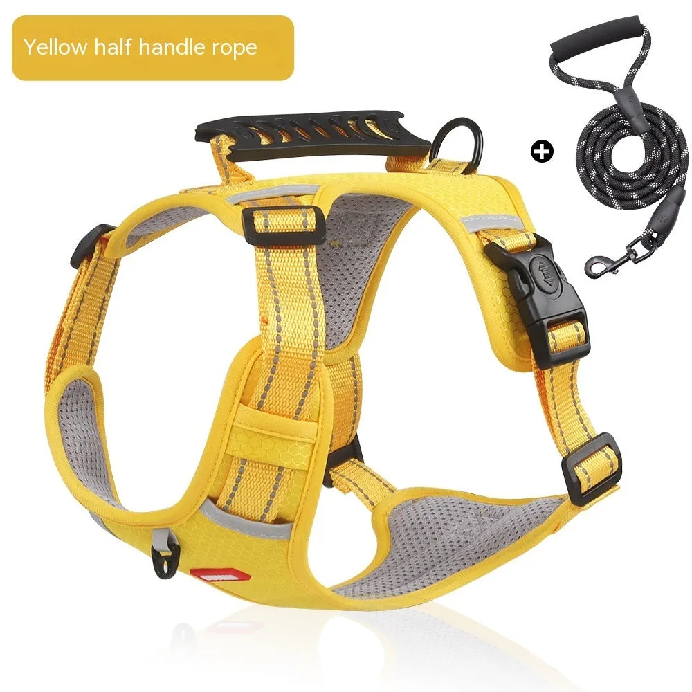 Pet Hand Holding Rope