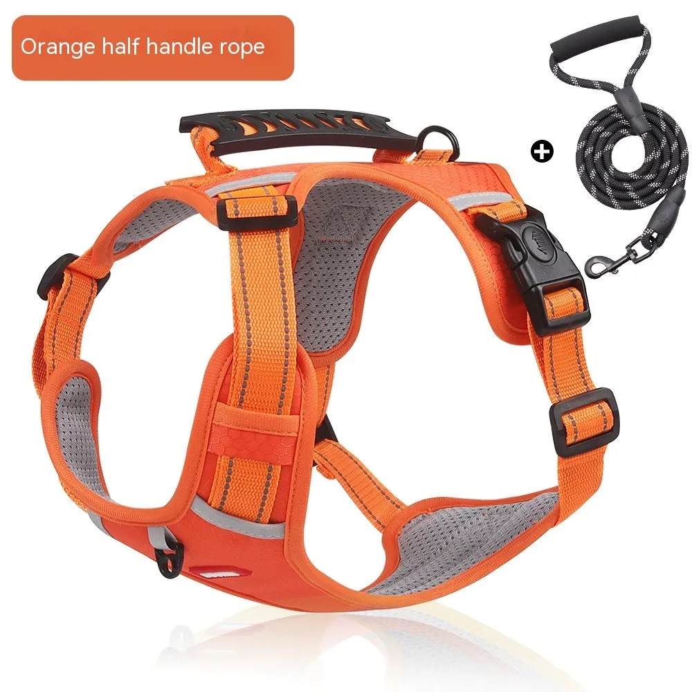 Pet Hand Holding Rope