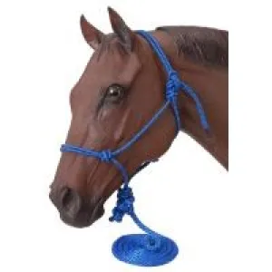 Poly Rope Tied Halter w/ Lead