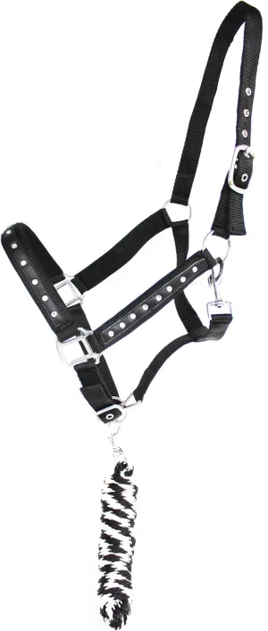 Pro Rider Nylon Horse Halter SS Hardware Padded Lead Rope Tack 606162BK