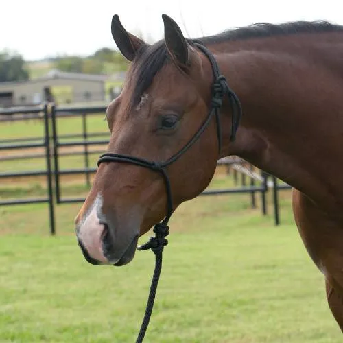 PROFESSIONAL CHOICE EQUISENTIAL ROPE HALTER