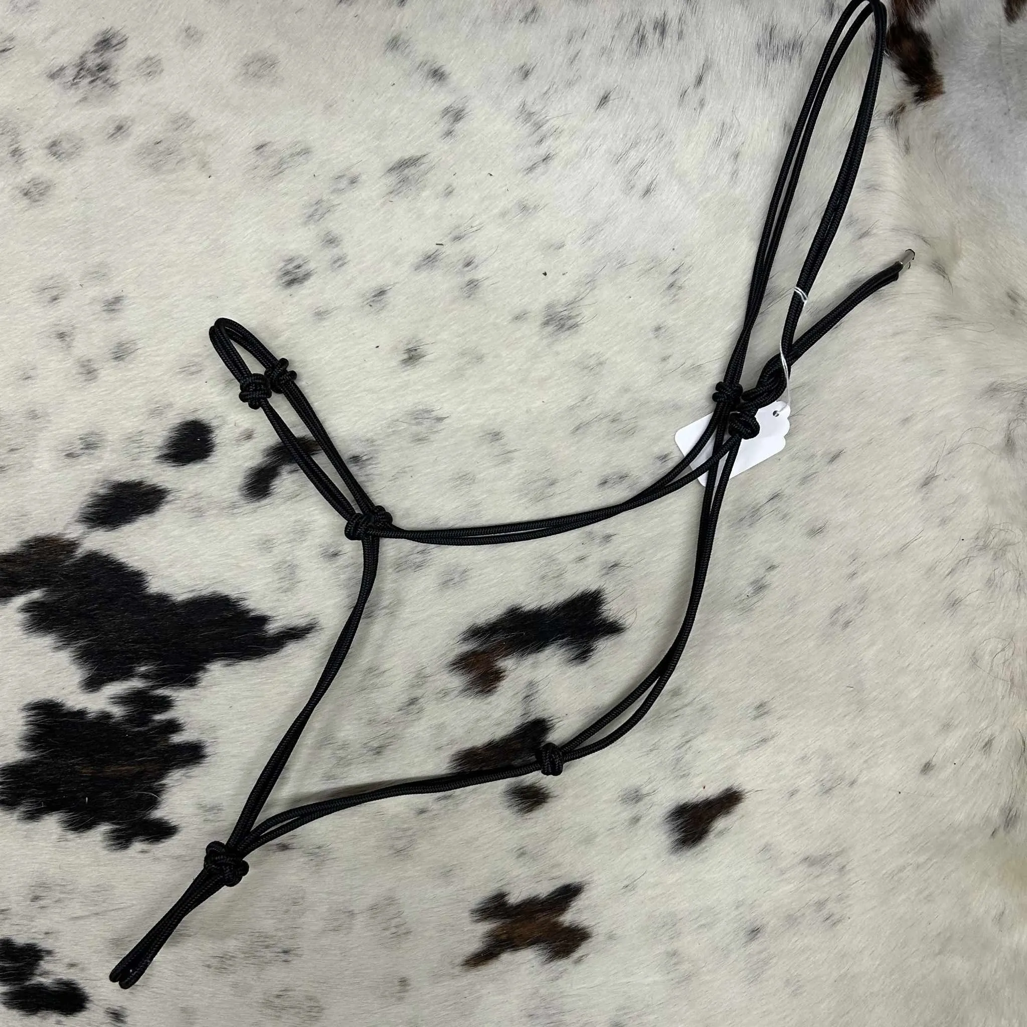 Quality Nylon Rope Halters - Assorted Colors