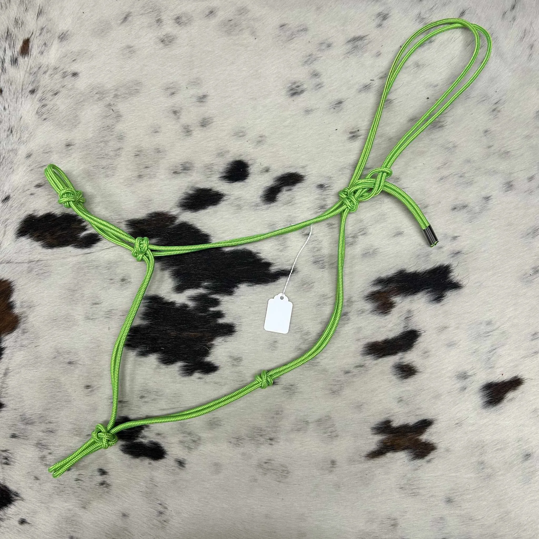 Quality Nylon Rope Halters - Assorted Colors