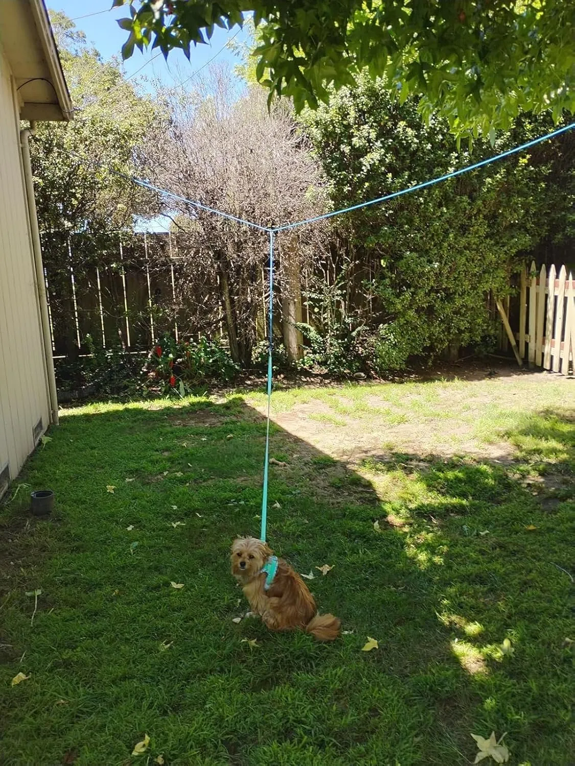 Reflective Dog Tie Out for 2 Dogs, 12ft/ 20ft/ 30ft Portable Long Dog Tether for Dogs up to 250lbs, Outdoor Overhead Trolley Runner with 4ft Zipline Rope for Outside Camping Yard Parks (30ft)