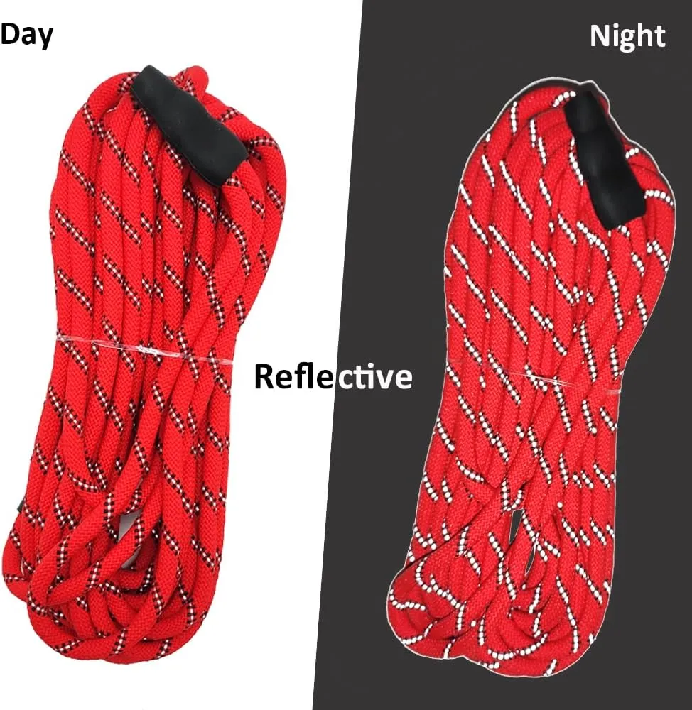 Reflective Long Slip Lead Dog Leash Anti-Choking 12 FT/20 FT/30 FT/50 FT Rope Training Leash for Medium Dogs Small Puppy Pets (30ft, red)