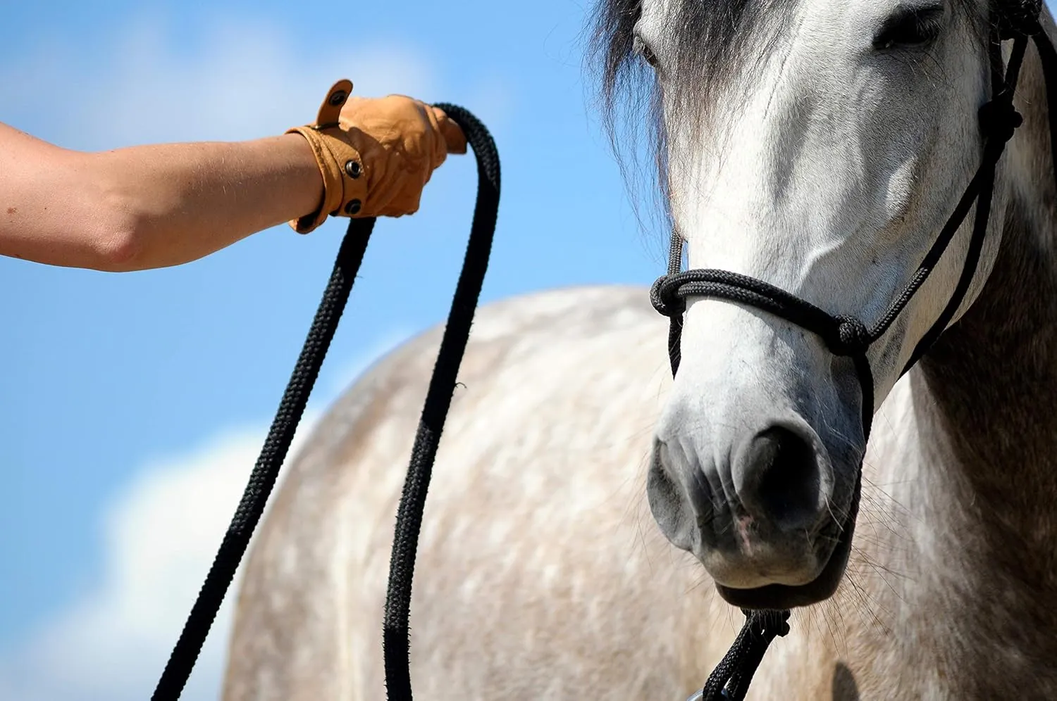 Rope Halters for Horses Training Soft - 11 Sizes - Miniature, Foal, Weanling, Small Pony, Cob/Arab, Horse, Warmblood, Draft