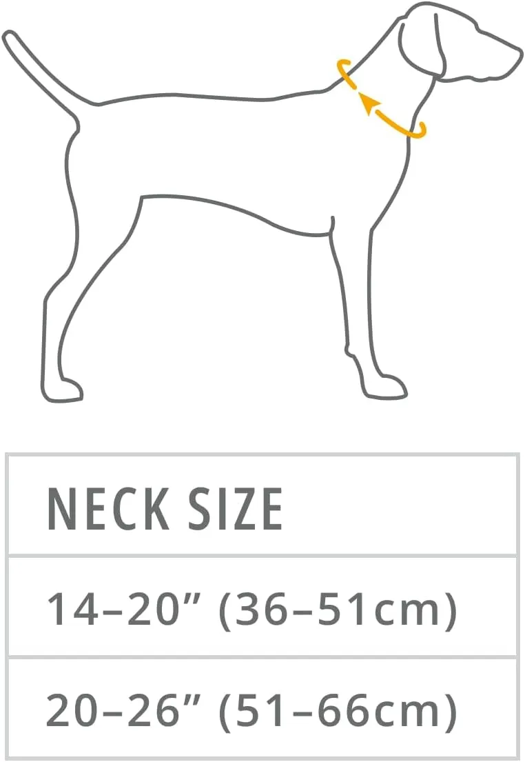 Ruffwear, Knot-a-Collar, Climbing Rope Dog Collar for Everyday Use, Blue Pool, 14"-20"