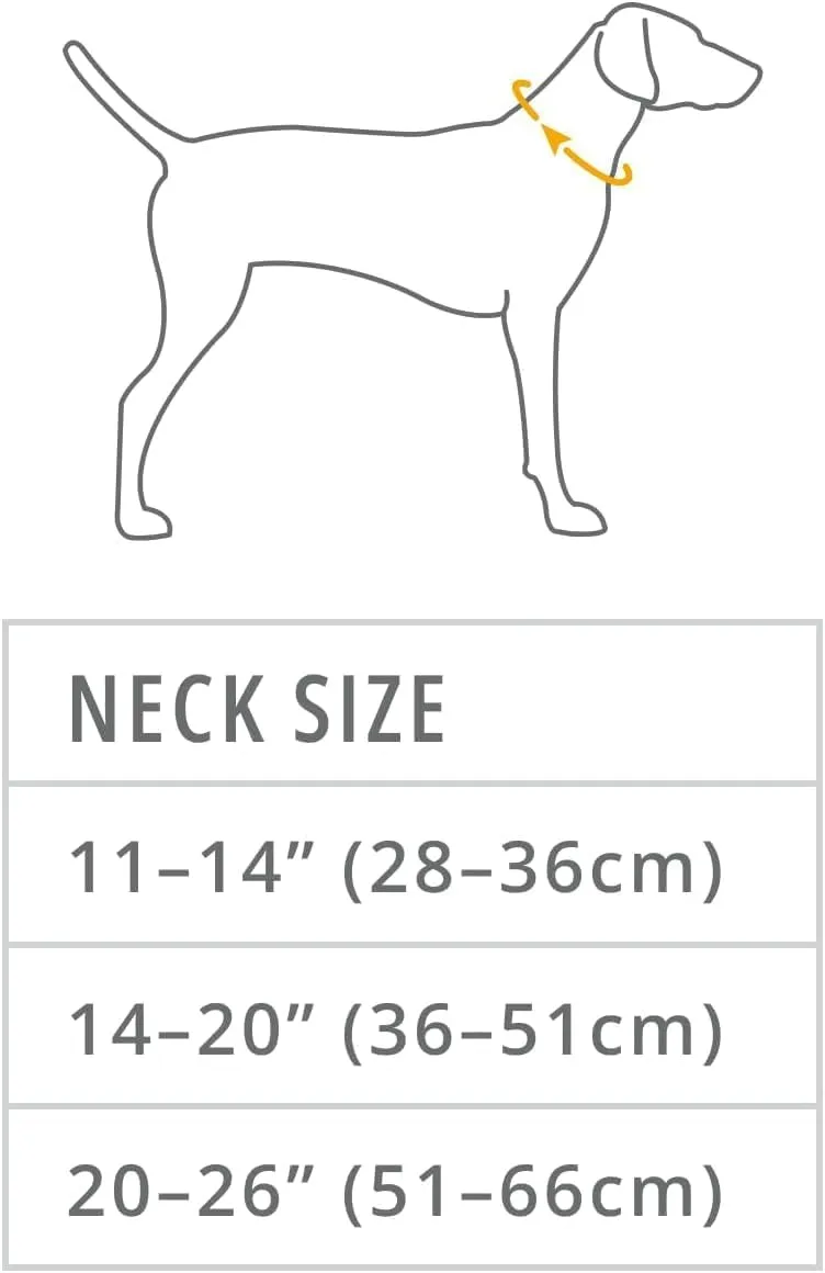 Ruffwear, Top Rope Dog Collar, Reflective Metal Buckle Dog Collar for Everyday Use, Basalt Gray, 14"-20"