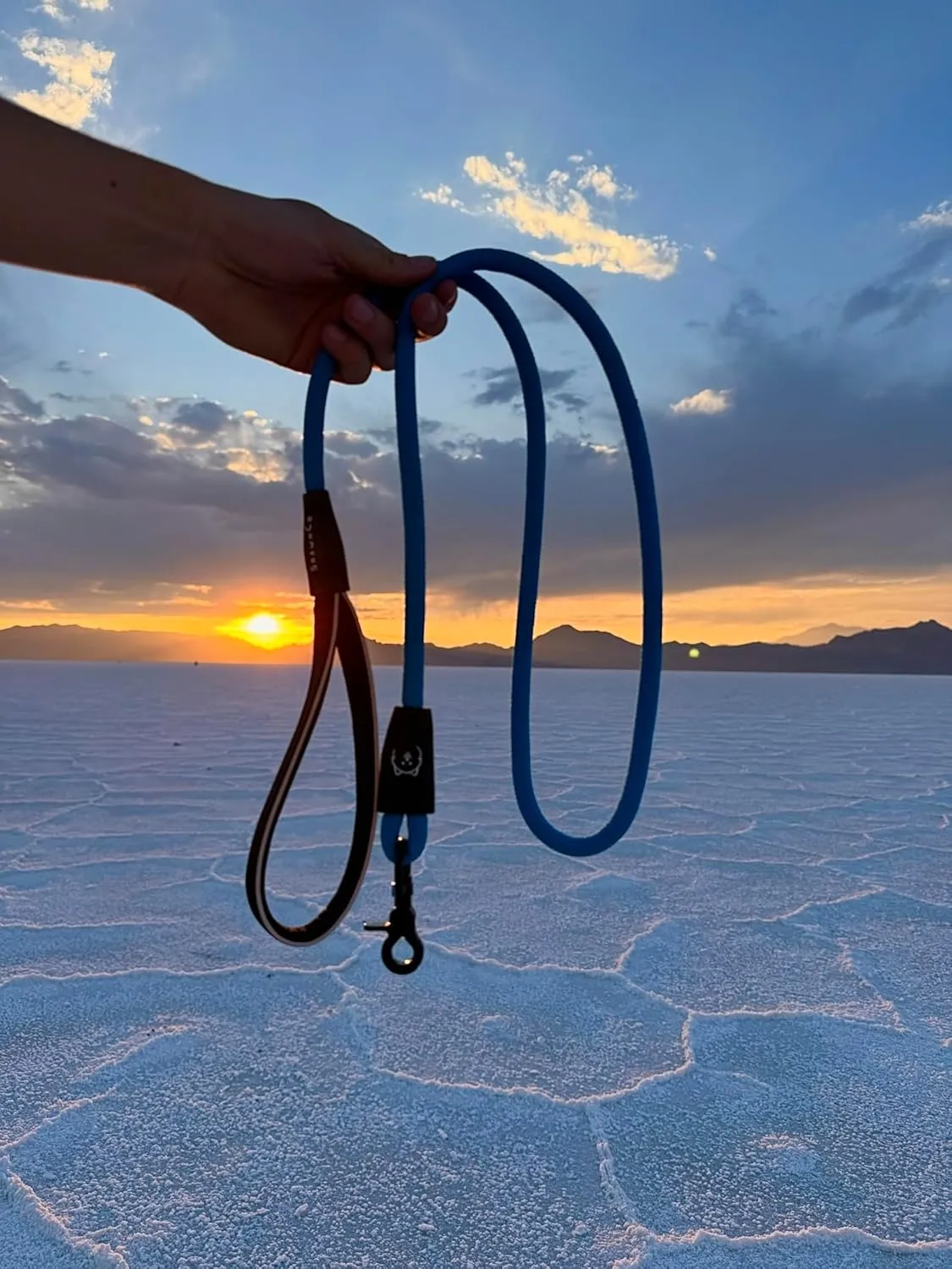 ShawnCo Basecamp Rope Dog Leash- Premium, Durable Pet Leash with Soft Neoprene Padded, Reflective Handle for Small, Medium and Large Dogs (Midnight, 6 Feet)