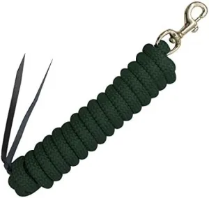 Showman Hunter Green Nylon Training Lead Rope Leather Ends 14' w/Brass Snap