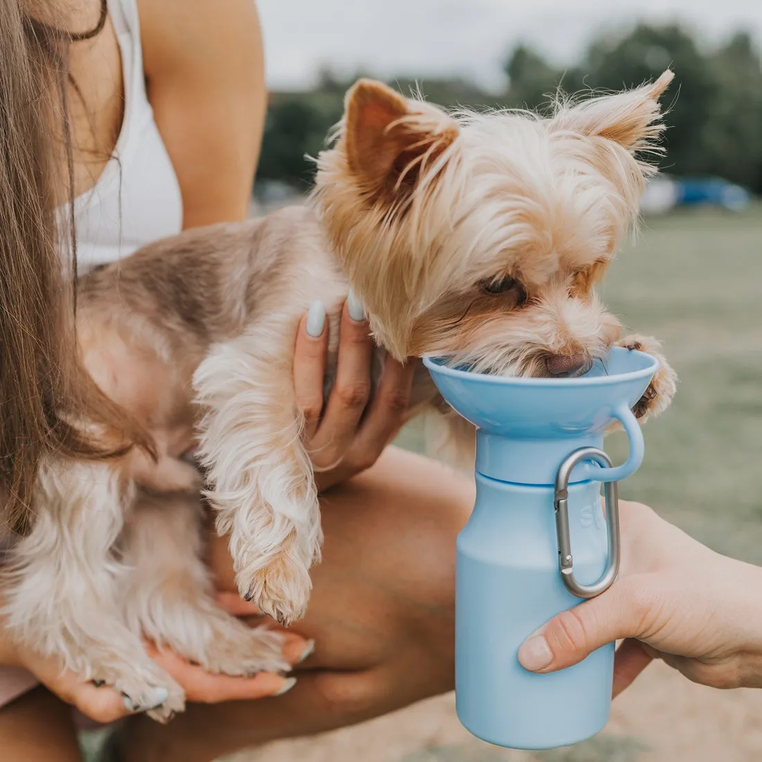 Sky Blue Squeeze-able Water Bottle, 15oz