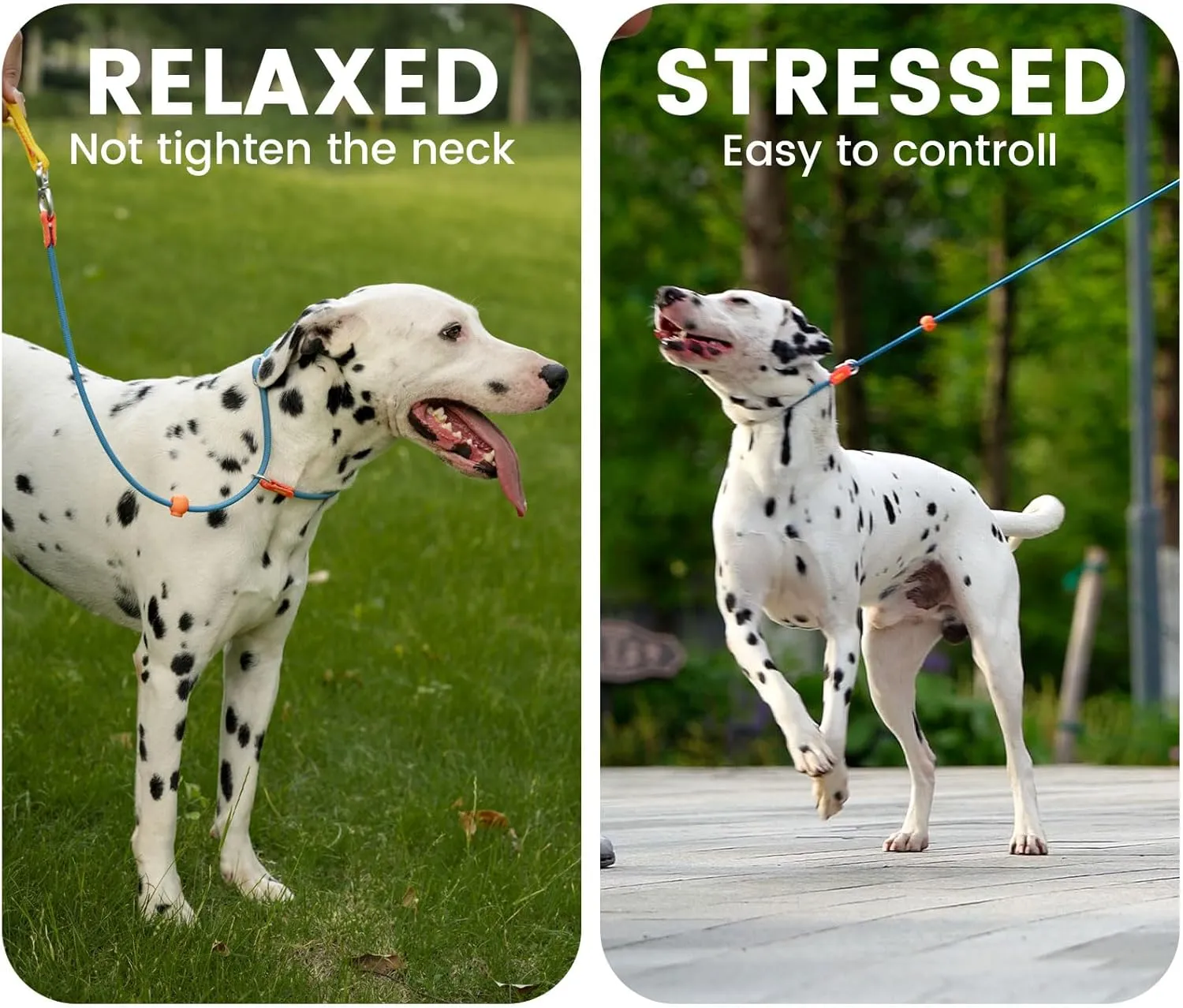 Slip Lead Dog Leash with Double Handles | Reflective Dog Training Leash with 360° Swivel Anti-Tangle | Heavy-Duty Leash and Collar for Large Medium and Small Dogs No-Pull Walking (Mint Green, 5.5FT)